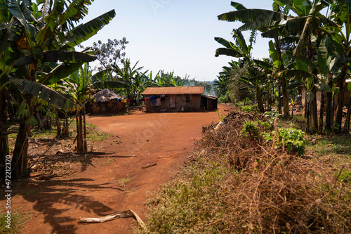 Village in Buikwe photo