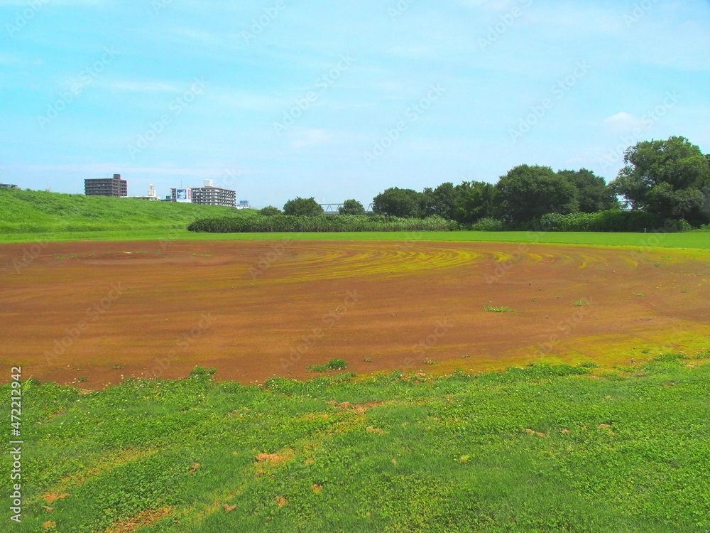 Naklejka premium 梅雨晴れの平日の河川敷の整地された野球場風景