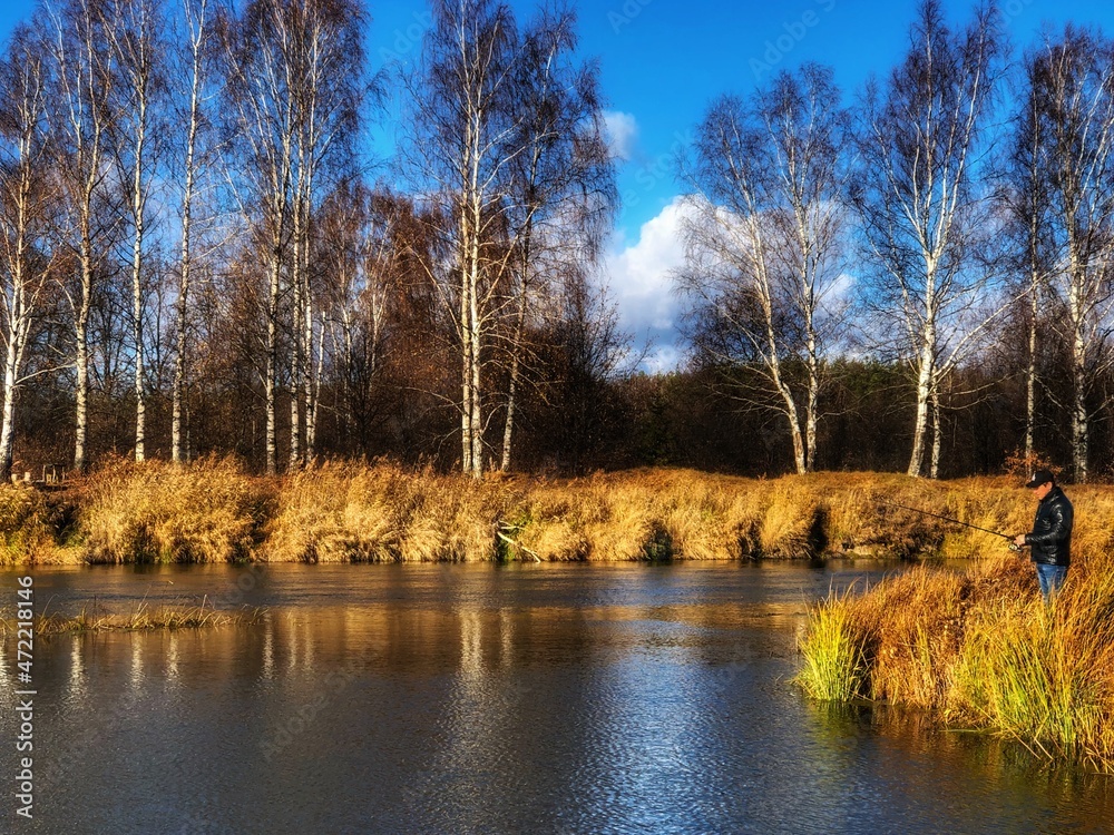 autumn in the forest