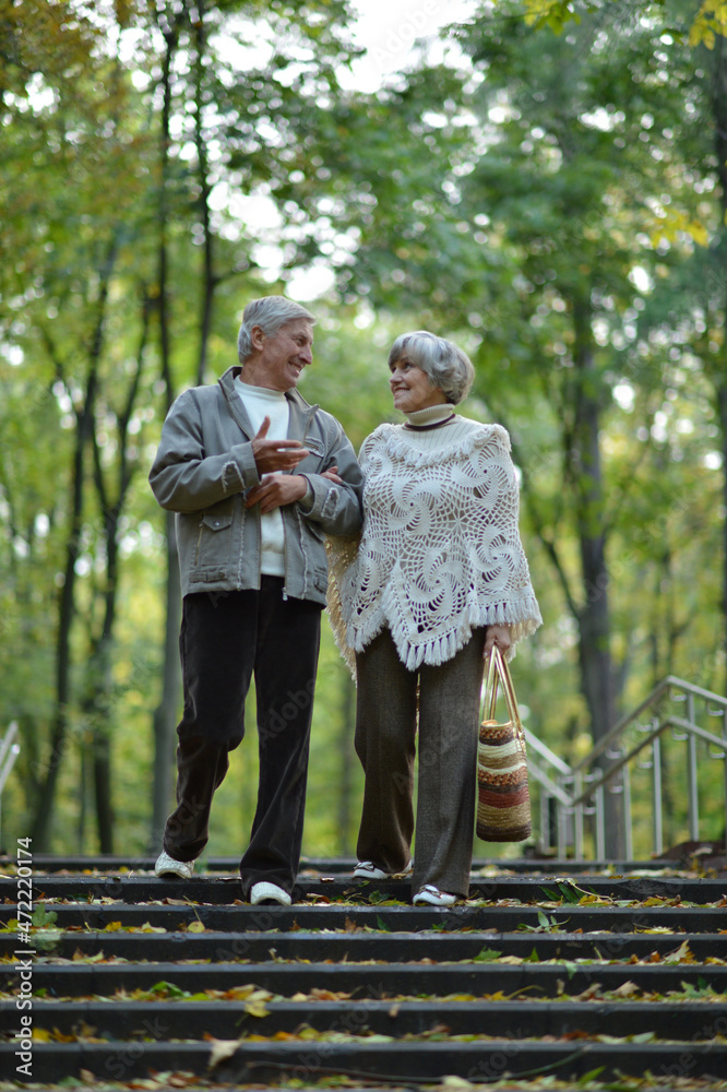 Fototapeta premium Portrait of cute happy senior couple walking