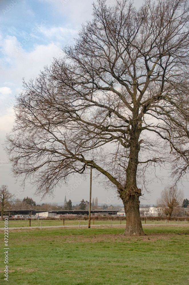 Aachen Eilendorf: Landschaft Februar Aachen Eilendorf: Landschaft Februar