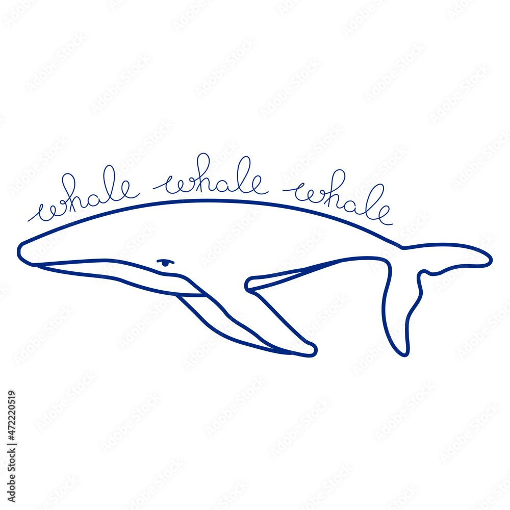 Humpback whale with handdrawn phrase whale, whale, whale minimalist simple outline vector logo illustration. Isolated contour whale drawing on white background Humpback whale with handdrawn phrase whale, whale, whale minimalist simple outline vector logo illustration. Isolated contour whale drawing on white background
