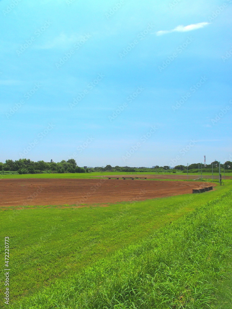 Obraz premium 梅雨晴れの平日の江戸川河川敷の整地された野球場風景