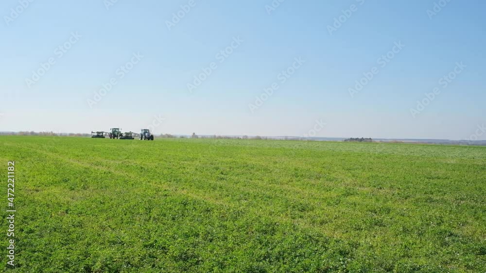 harvesting green fodder in the field harvesting green fodder in the field