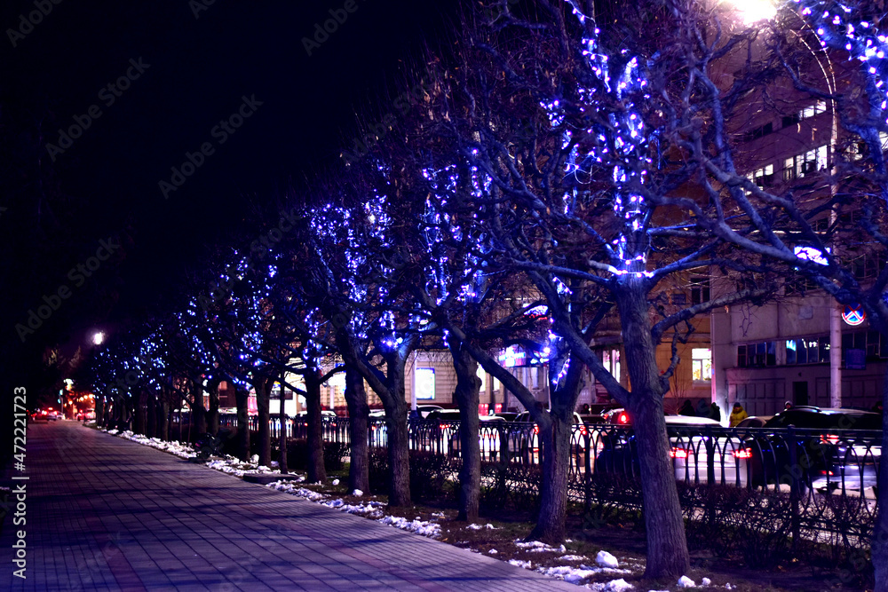 City at night. The avenue of trees was decorated with colored bulbs.