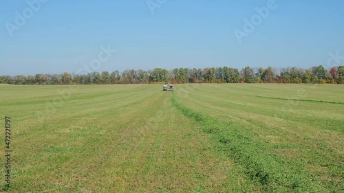 harvesting green fodder in the field