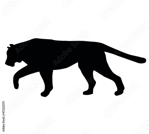 Vector hand drawn tiger silhouette isolated on white background