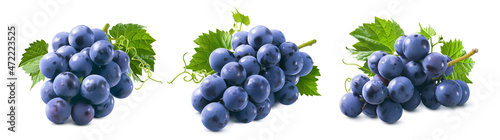 Obraz na plátně Small bunches of blue grapes with leaves set isolated on white background