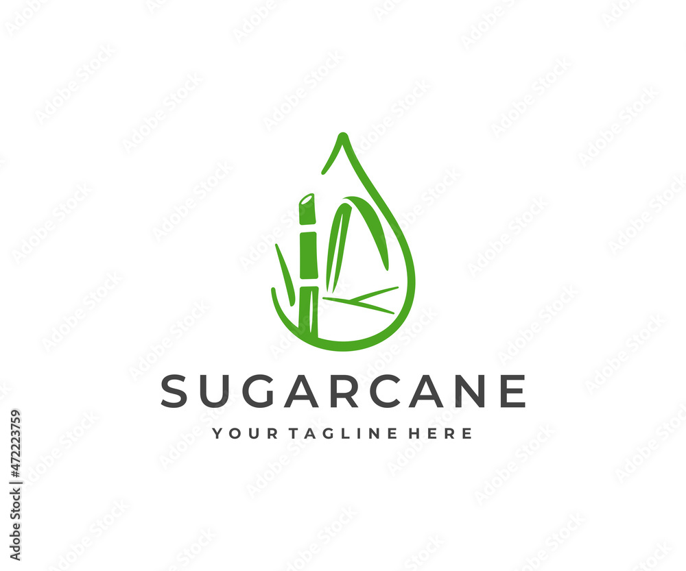 Sugar cane fields, tropical culture logo design. Sugarcane plantation, sugar and food, sugar stem, plant and leaves vector design. Sugarcane harvest stalk logotype Sugar cane fields, tropical culture logo design. Sugarcane plantation, sugar and food, sugar stem, plant and leaves vector design. Sugarcane harvest stalk logotype