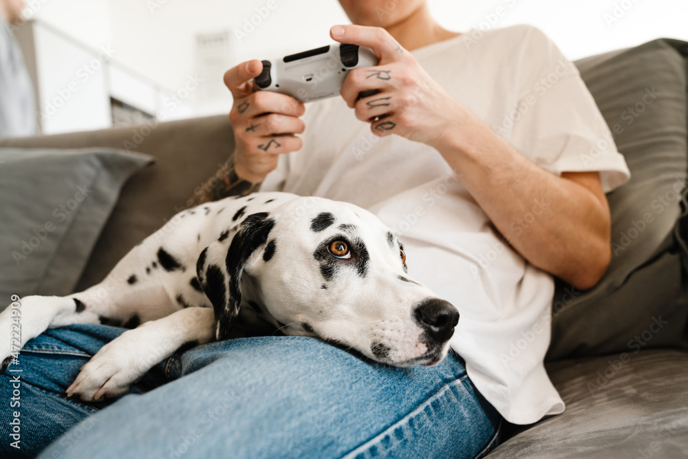 Young man with dog sitting on sofa and holding joystick Young man with dog sitting on sofa and holding joystick
