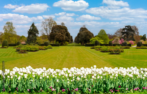 Spring in Kew botanical gardens, London, UK photo