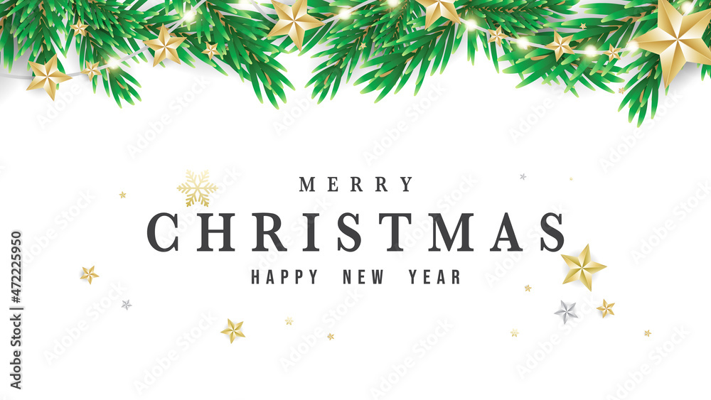 Christmas Background with Christmas  branches and star isolated on white background with copy space for text, illustration Vector EPS 10