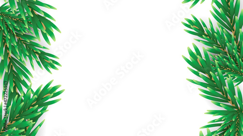 Christmas tree branches and border of green branch of pine with copy space for text , illustration Vector EPS 10