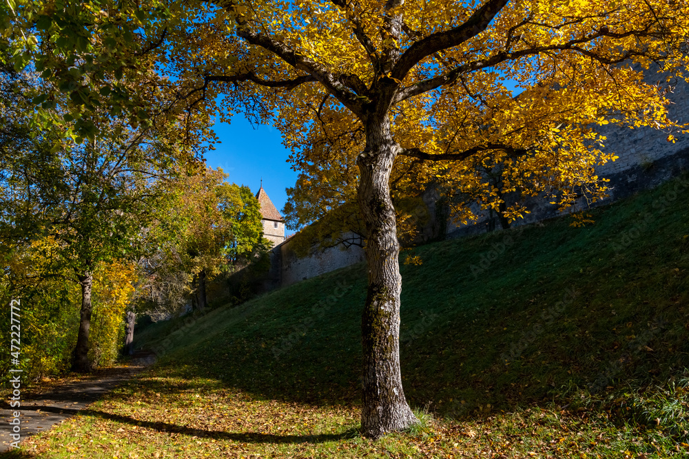Rothenburg ob der Tauber autumn panorama. Historic medieval town in Franconia Bavaria Germany. City wall with tower seen from a park underneath the fortifications on a sunny Indian Summer morning.