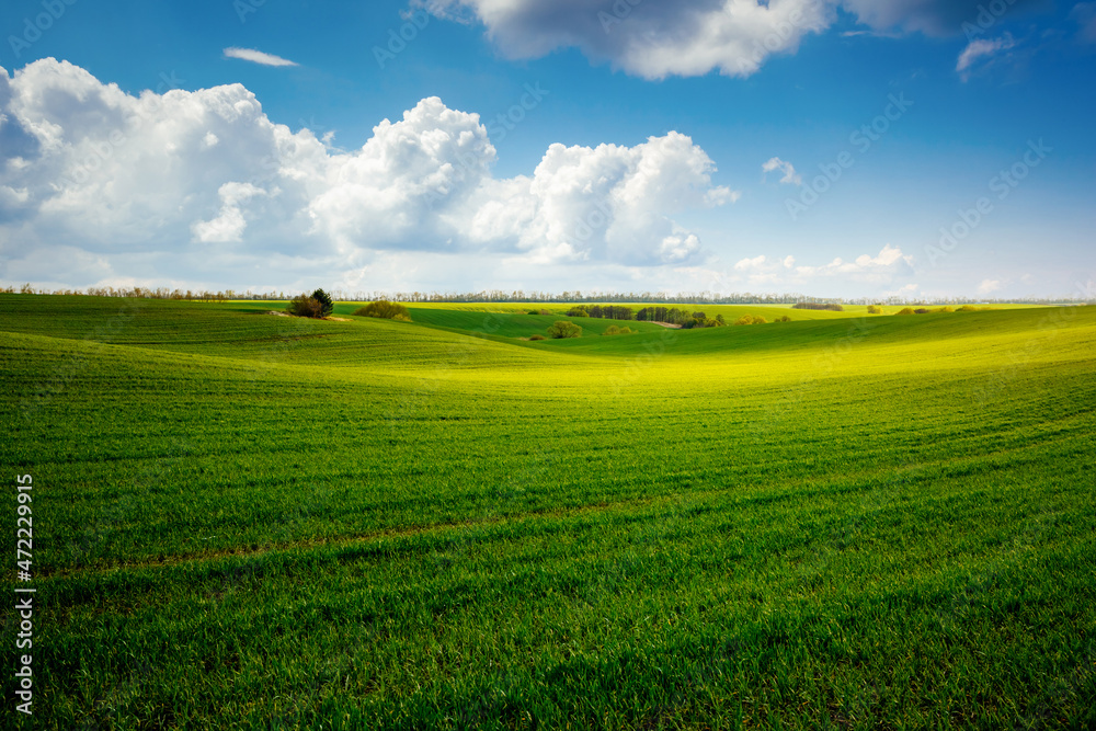 Obraz premium Fantastic view of green rural land and cultivated fields.