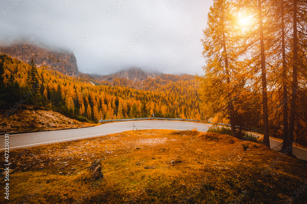 Fototapeta premium The asphalt road stretches through a coniferous forest. National Park Tre Cime di Lavaredo, Dolomite alps.