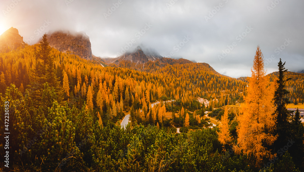 The mountain slopes are covered with yellow larch. National Park Tre Cime di Lavaredo, Dolomite alps.