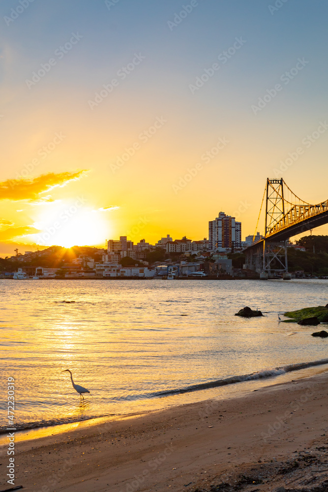 garça e  a Ponte Hercílio Luz  ao pôr do sol em Florianopolis, Santa Catarina, Brasil 