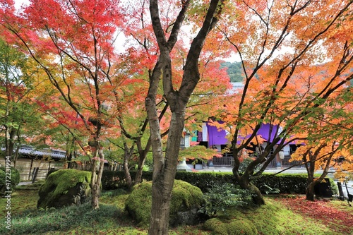 京都 モミジの永観堂