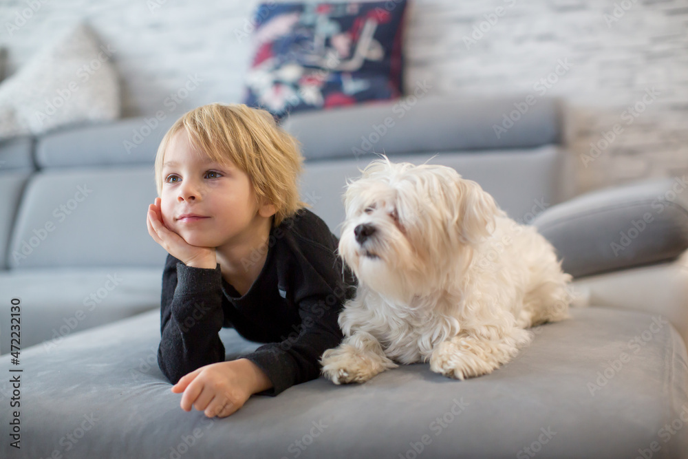 Cute blond child, toddle boy, watching TV with his pet maltese dog Cute blond child, toddle boy, watching TV with his pet maltese dog