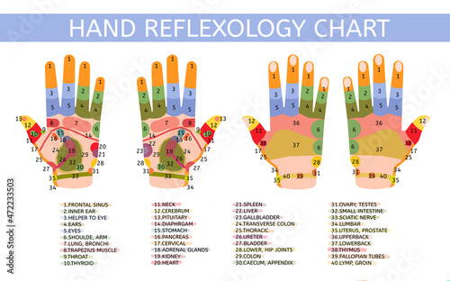 Bilde på lerret Hand reflexology chart with description of the corresponding internal and body parts