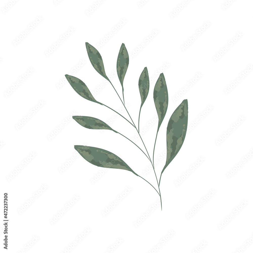 watercolor leaves design watercolor leaves design