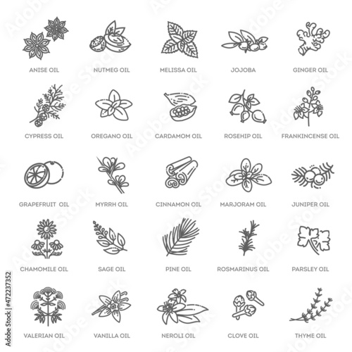 Vector set of natural ingredients and oils photo