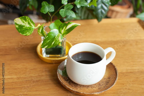 コーヒーと観葉植物