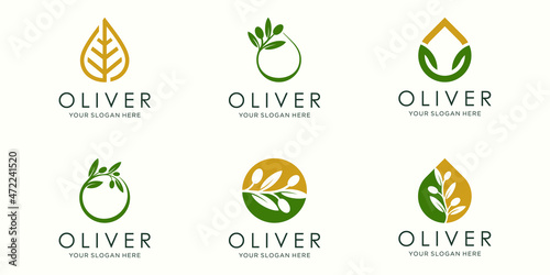 olive oil logo and icon set. design template vector.