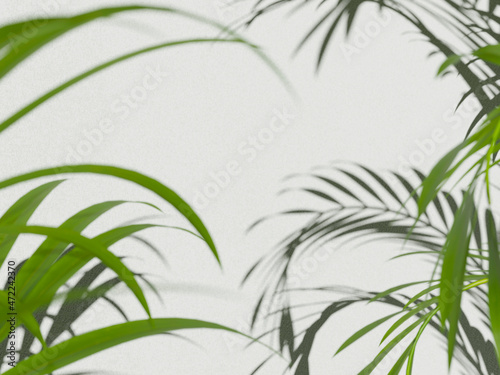 shadow of palm leaves background light shadow of a plant 3d illustration