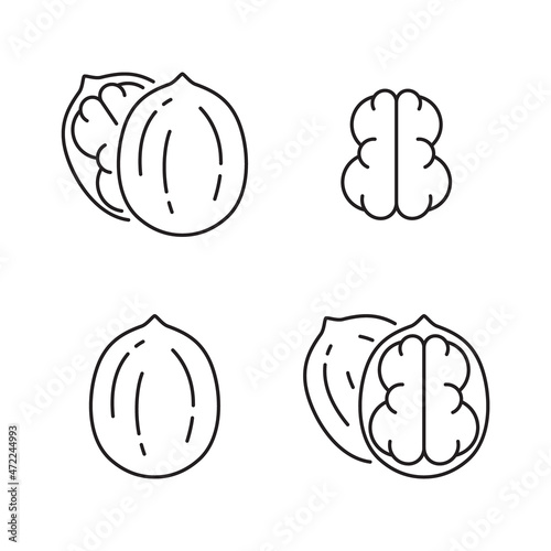 Walnut linear icons set. Outline simple vector of nut in shell. Contour isolated pictogram on white background photo