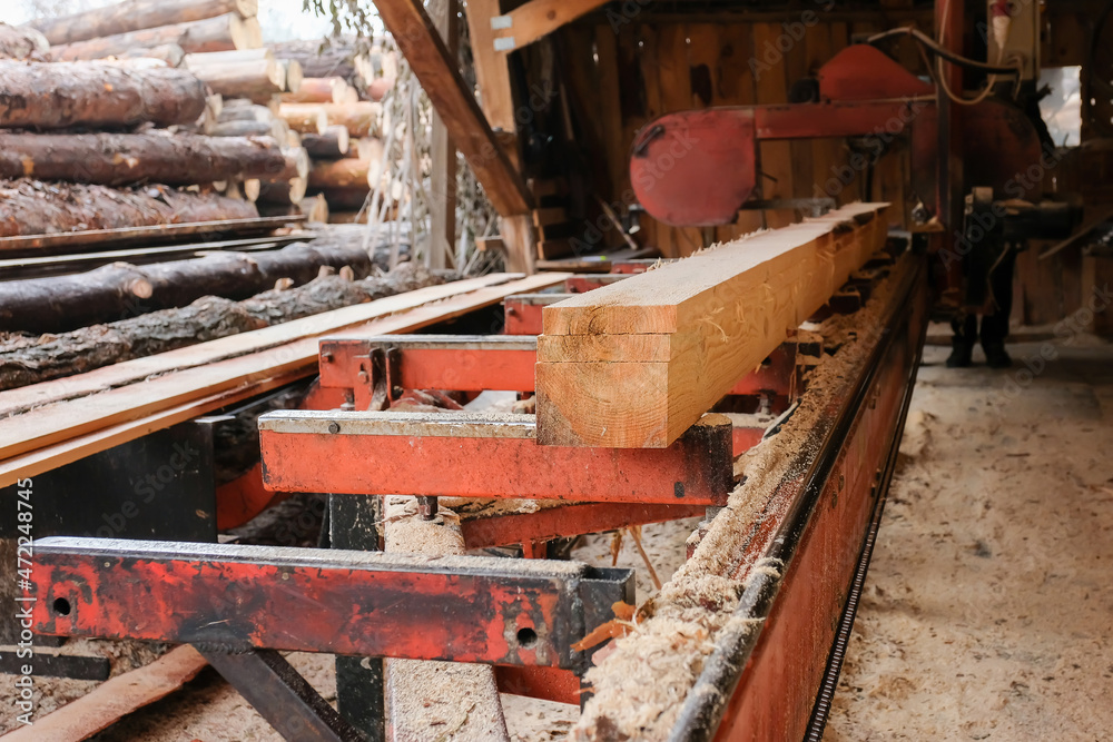 Wood processing at a sawmill. Preparation of logs for production. Timber industry