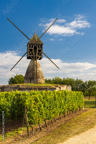 Windmill of La Tranchee and vineyard near Montsoreau, Pays de la Loire, France photo