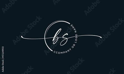 B S Initial handwriting signature logo, initial signature, elegant logo design vector template. 