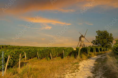 Windmill of La Tranchee and vineyard near Montsoreau, Pays de la Loire, France photo