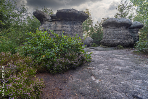 Stone mushrooms in a nature reserve Broumovske steny, eastern Bohemia, Czech Republic