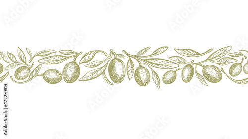 Olive strip, vintage bio seamless pattern. Vector