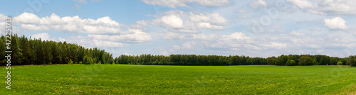 Large green meadow surrounded by forest. Panorama of a green meadow surrounded by forest. Forest Glade.
