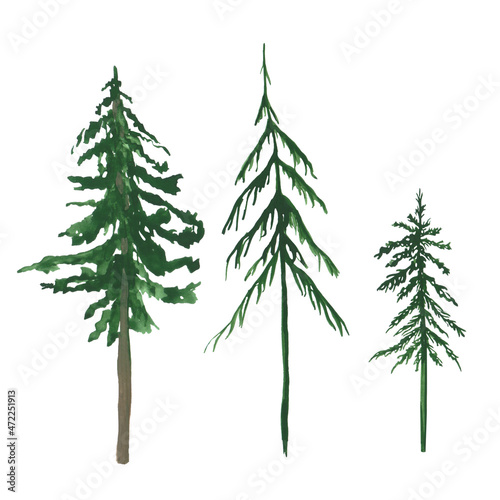 Set of 3 pine trees isolated on a white background. Watercolor evergreen plants. Scotch fir illustration. Christmas tree clipart. Landscape scene objects. Hand-drawn green pine tree illustration. © Nadja
