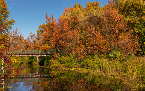 Trees painted in autumn colors are reflected in the waters of the river. Nice autumn weather.