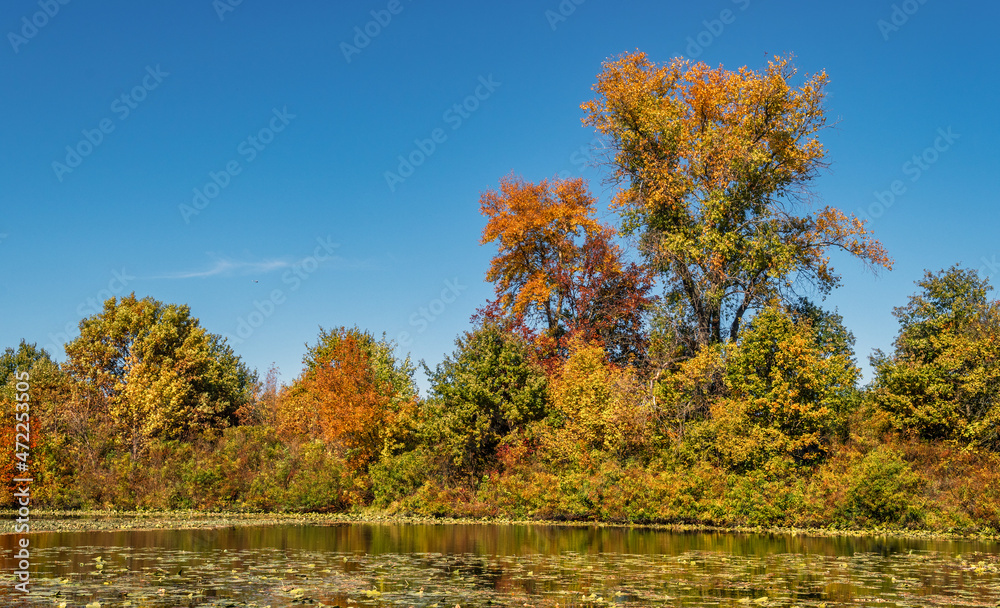 Trees painted in autumn colors are reflected in the waters of the river. Nice autumn weather.