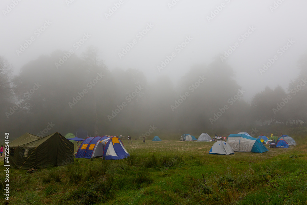 Tents Camping area, early morning. Panoramic landscape. Natural area with big trees and green grass