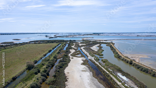 Wallpaper Mural Camargue Torontodigital.ca