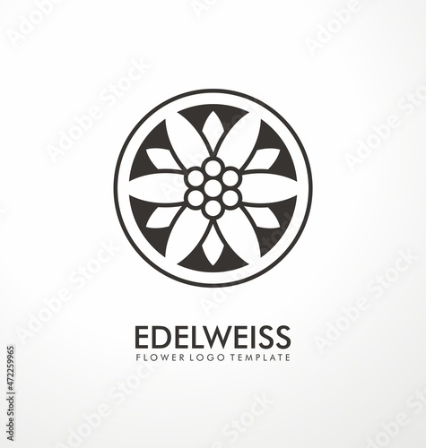 Edelweiss flower simple logo design idea. Minimalist logo or symbol concept with geometric flower shape. Vector icon.