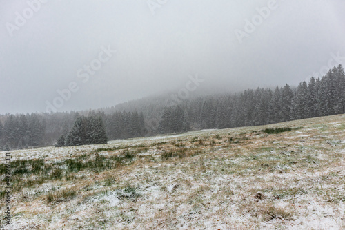 Wallpaper Mural Winterwanderung auf dem Ruppberg durch den verschneiten Thüringer Wald - Thüringen Torontodigital.ca