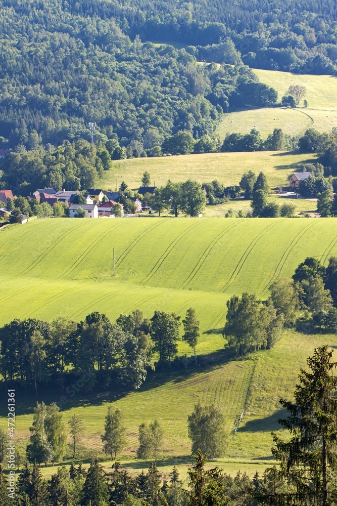 Wavy mountain landscape in summer. Field, forest, village.