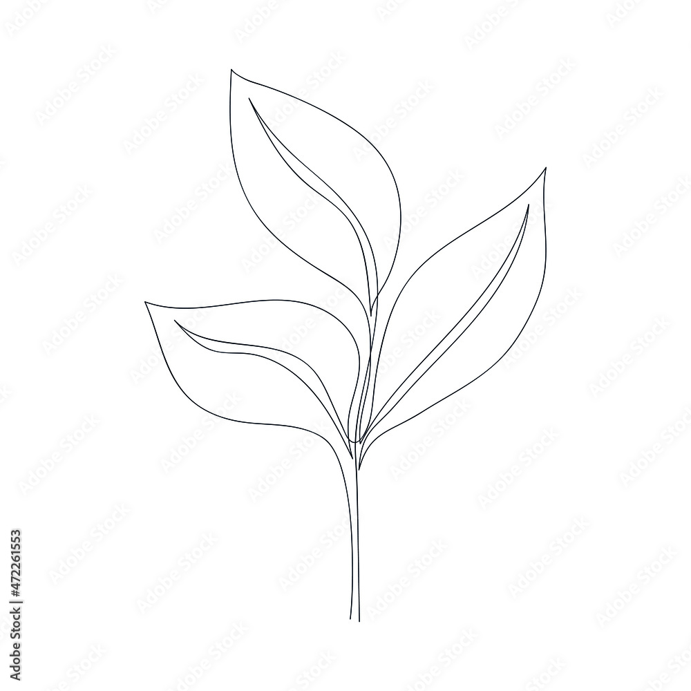 Abstract ficus branch drawn one line. Floral sketch. Continuous line drawing tropical plant. Vector illustration in minimal style. Abstract ficus branch drawn one line. Floral sketch. Continuous line drawing tropical plant. Vector illustration in minimal style.