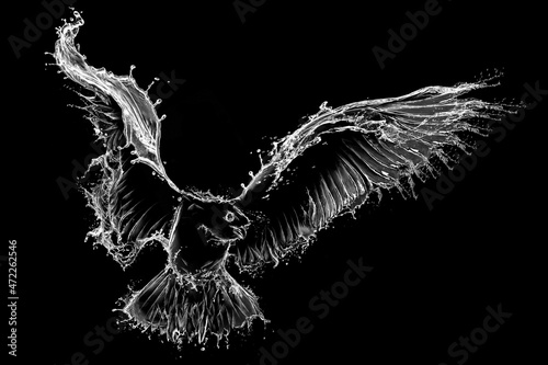 Canvas Print Graphic gull in flight made from the water splashes on black background