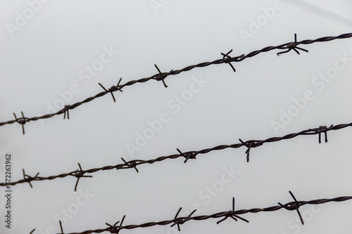 Close-up of the barbed wire fence in fog