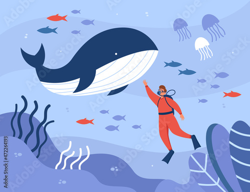 Photography Tiny cartoon scuba diver and whale swimming in sea or ocean